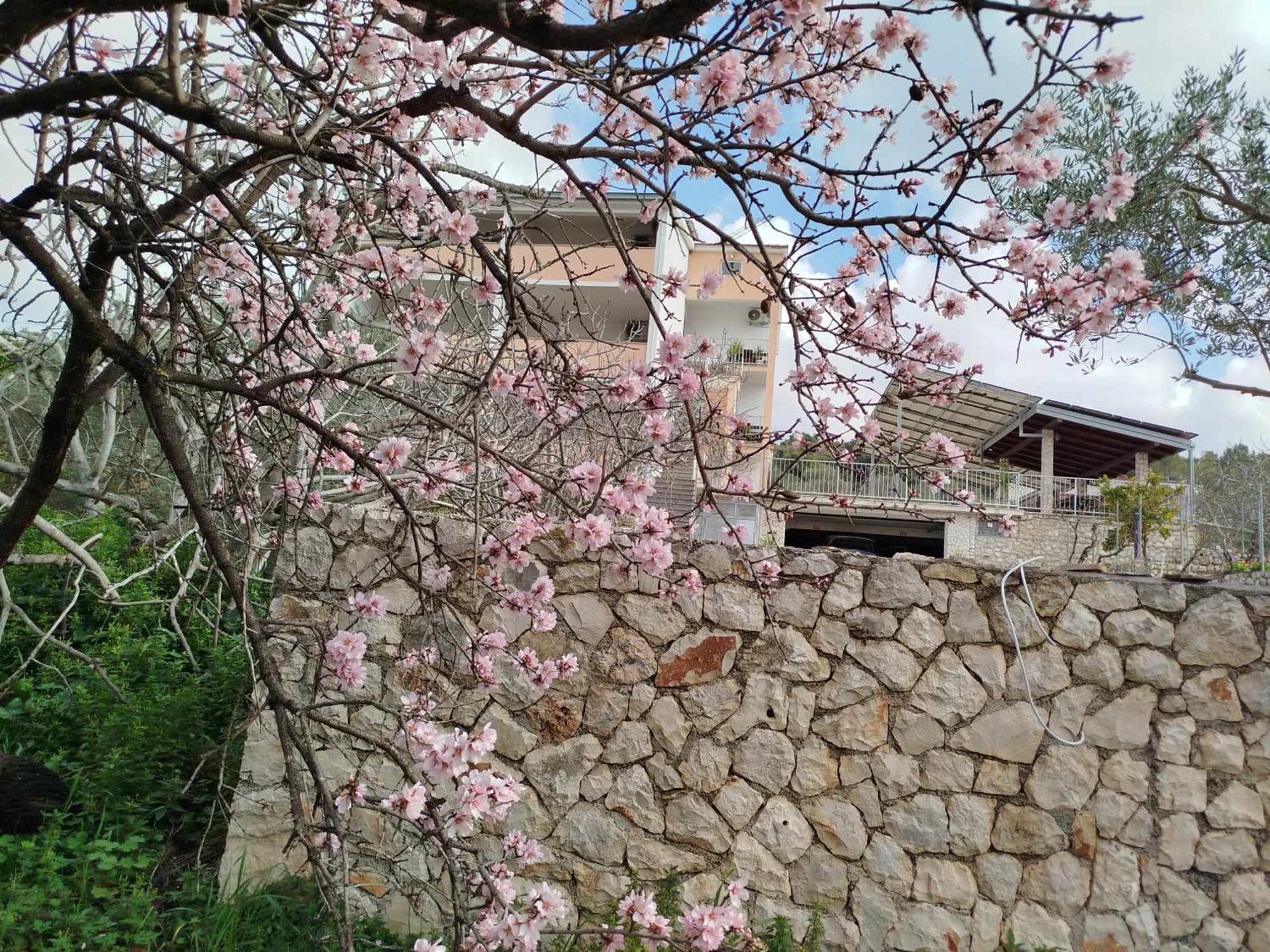 Apartments Franjic Vinišće Zewnętrze zdjęcie