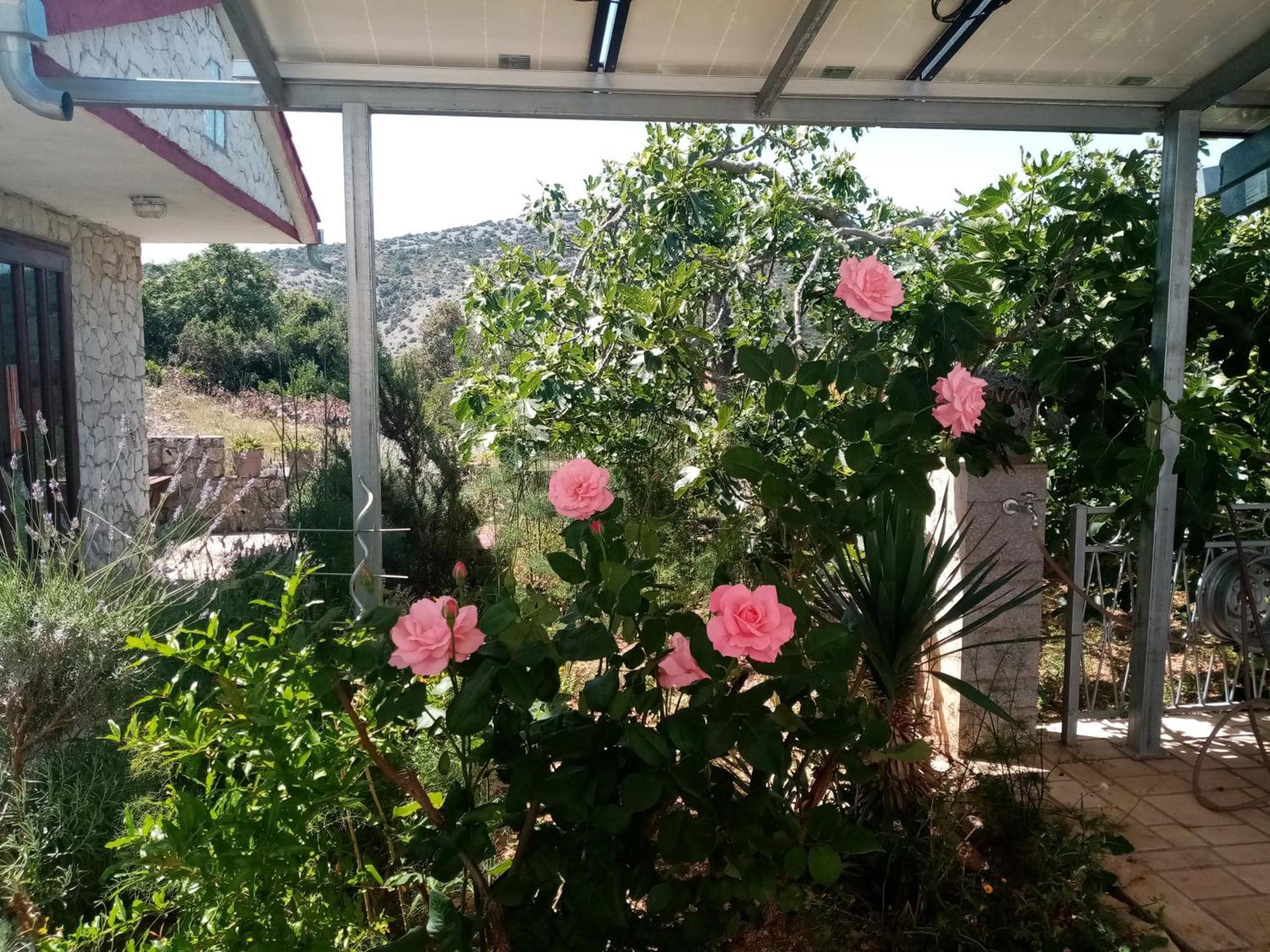 Apartments Franjic Vinišće Zewnętrze zdjęcie