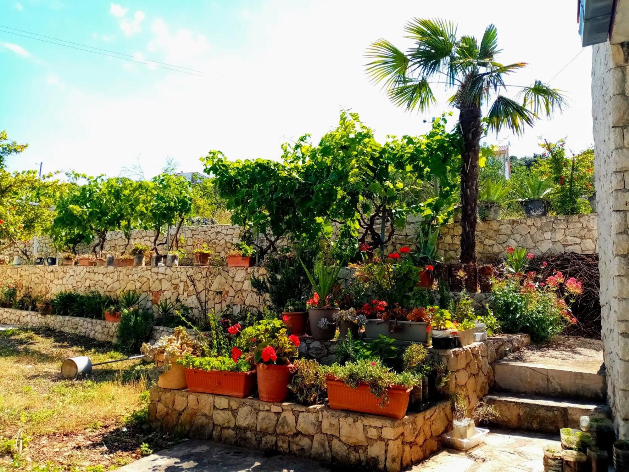 Apartments Franjic Vinišće Zewnętrze zdjęcie